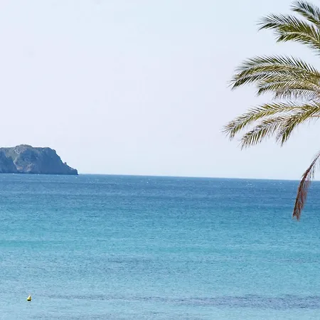 Bq Paguera Boutique - Adults Only فندق